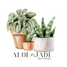 Aloe & Jade Plant Boutique