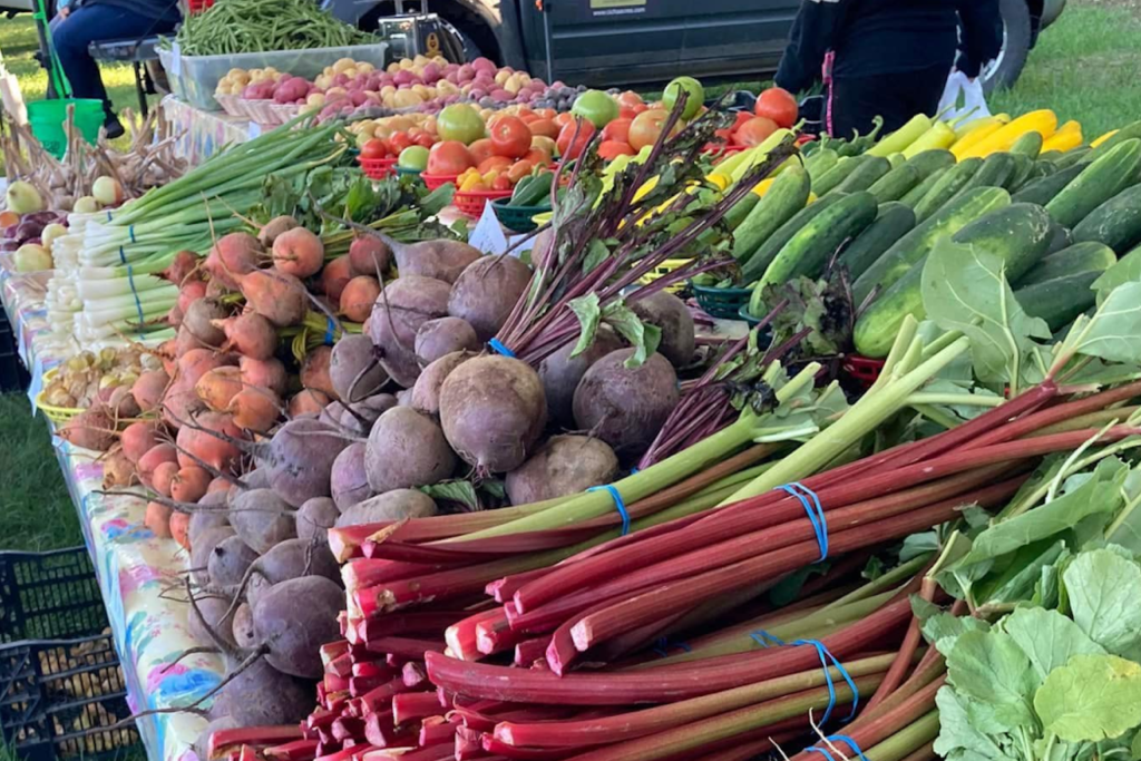 Vibrant display of fresh vegetables and fruits at a local farmers market in Spooner, Wisconsin, showcasing community produce and promoting local agriculture.